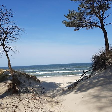 Apartamenty Marzen Grzybowo  Bagian luar foto
